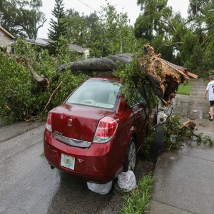 Natural Disaster